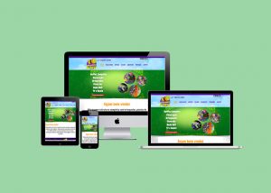 Website Espaço Raro Festas